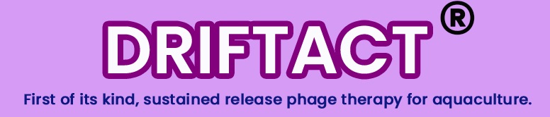 DriftAct