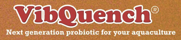 VibQuench